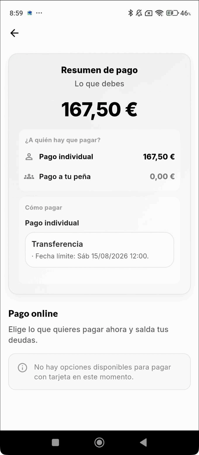 Resumen de pago en la app: lo que debes (total), el reparto entre pago individual y pago a tu peña, cómo pagar con el método y la fecha límite, y el apartado de pago online